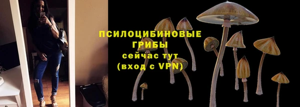 СК Касимов