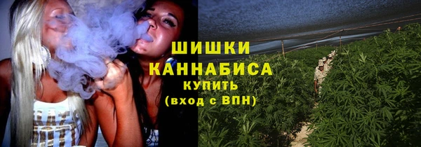 СК Касимов