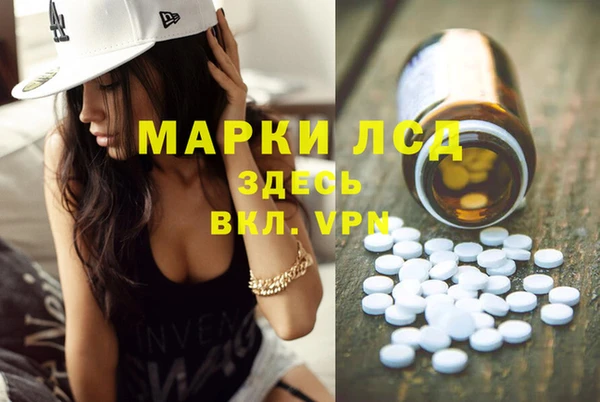 СК Касимов