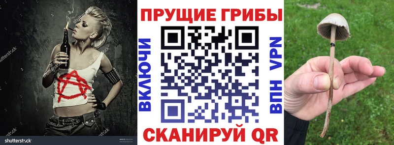 Галлюциногенные грибы мухоморы  Купить закладки  Артёмовский 